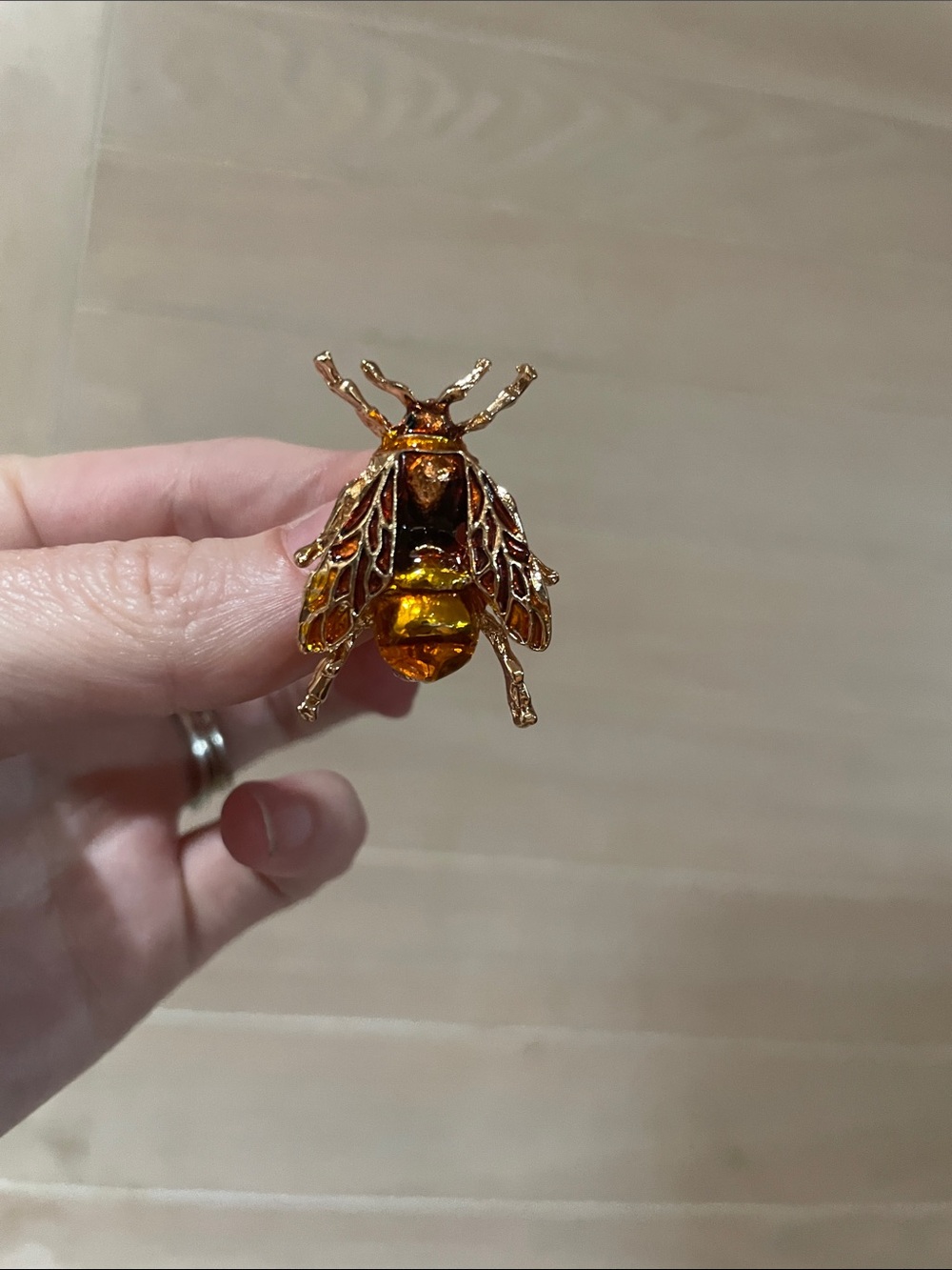 Insect Brooch